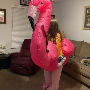 halloween costume-inflatable flamingo costume.  adult size